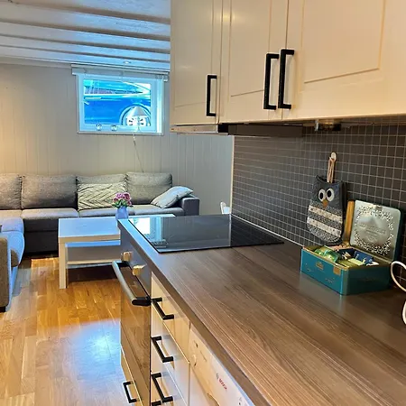 Modern 2 Bed-room 60 M2 By Lerkendal Buss Stop - Cozy Living Room, Full Kitchen & Bad Trondheim